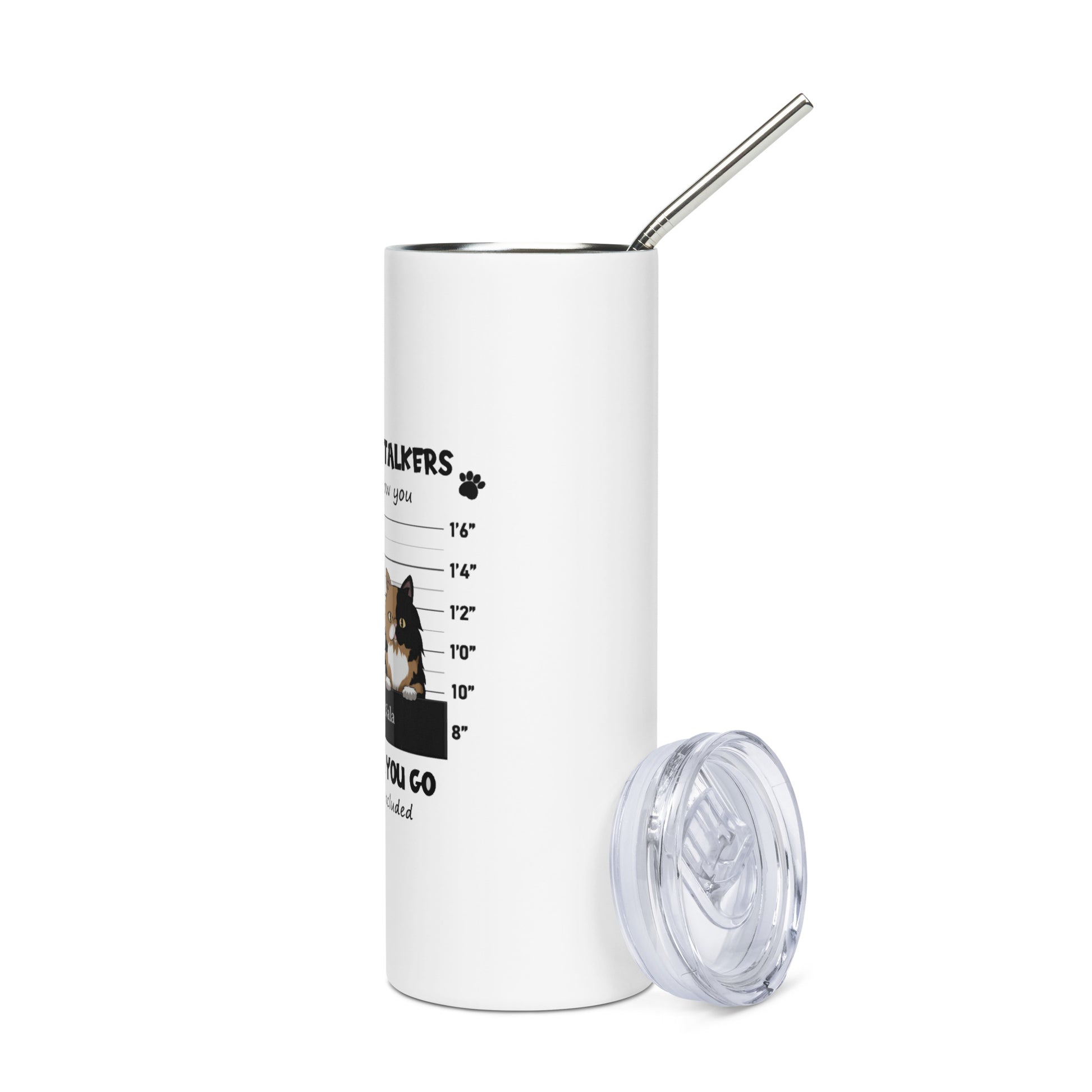 Stainless steel tumbler with metal straw 